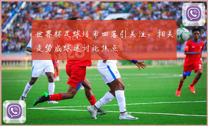 世界杯足球培率回落引关注,相关走势成球迷讨论焦点