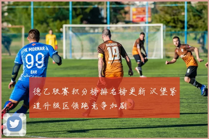 德乙联赛积分榜排名榜更新 汉堡紧追升级区领跑竞争加剧