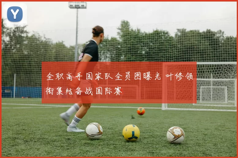 全职高手国家队全员图曝光 叶修领衔集结备战国际赛